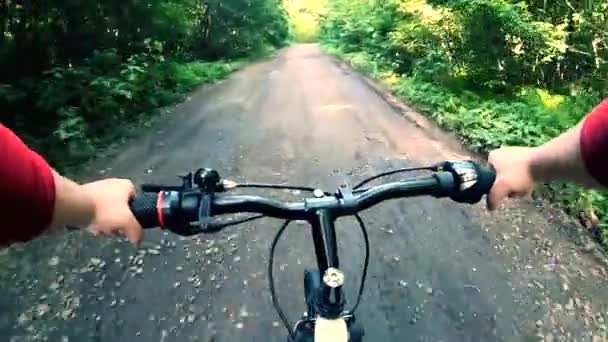 Mężczyzna Jeżdżący Rowerze Drodze Lesie Letni Słoneczny Dzień Osoba Jeżdżąca — Wideo stockowe
