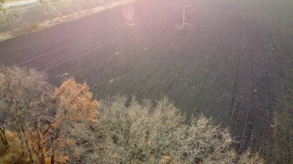 春の晴れた日には 葉のない畑や木々がライトアップされます 耕作場だ チェルノゼム ブラック アース フィールド 地球を掘れ 農業分野を飛び越える 空中展望 — ストック写真