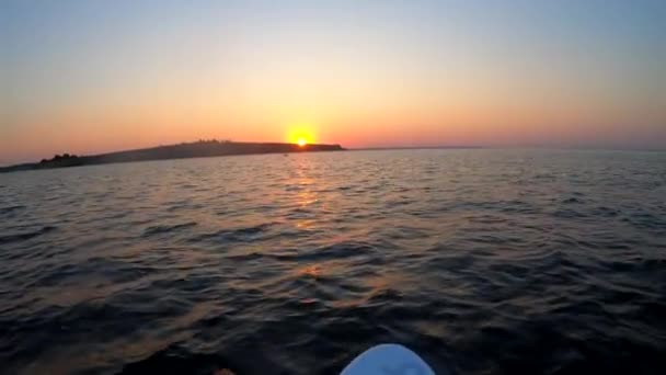 Mulher Flutuando Sup Bordo Mar Pôr Sol Amanhecer Uma Manhã — Vídeo de Stock