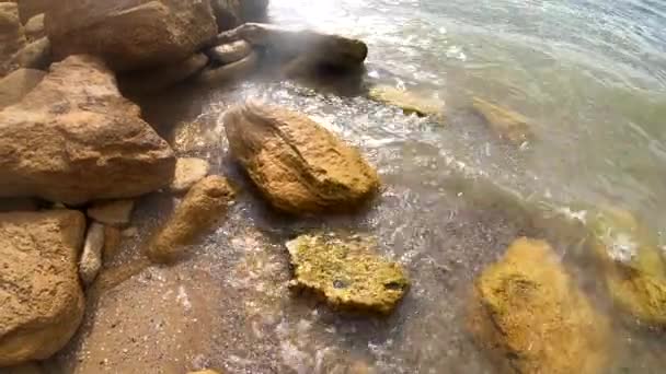 Büyük Sarı Kum Kil Taşları Deniz Kıyısındaki Kumlu Sahilde Kayalar — Stok video