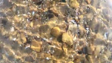 Güneşli havalarda deniz kabukları ve taşlarla kaplı kayalık deniz yatağının şeffaf sularını seyret. Suda dalgalanmalar, güneş parlaması, yansıma güneşi yüzey kumunda dalgalanmalar. Doğa geçmişi. Ağır çekim. Yaklaşıyor.