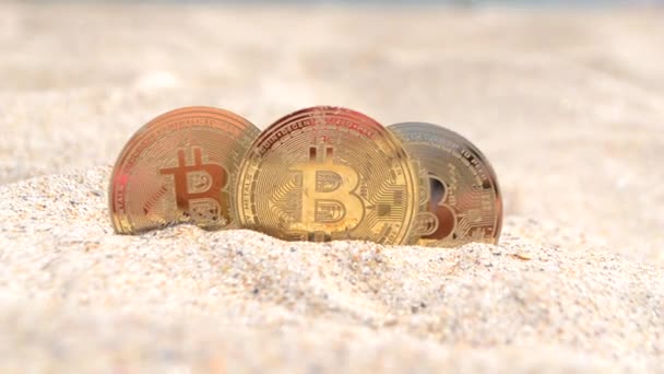 3つのBitcoin Btcコインが閉じます Bitcoin Btcコインの半分は 晴れた夏の日に砂浜の砂浜に埋葬されました 概念暗号通貨ウェブ3 0暗号通貨ビットコインデジタル — ストック動画