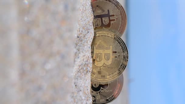 Tres Bitcoin Btc Monedas Cerca Bitcoin Moneda Btc Medio Enterrado — Vídeo de stock