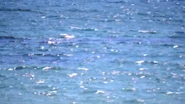 晴れた夏の日には水面の波紋から波と白いボケのスポットと青い海の景色 海の海の川の湖の水の波を移動 自然な背景 自然を背景に ぼやけた背景 — ストック動画