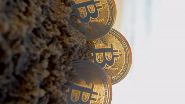 Three Bitcoin Btc Coins Sand Sandy Beach Sea Coast Sunny — Vídeo de stock