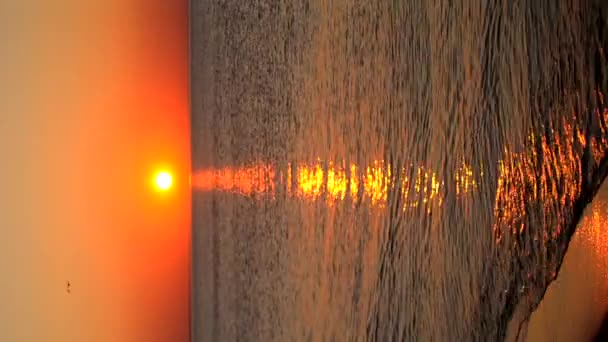 Denizde Gün Batımı Gün Batımı Şafak Söküyor Güneşin Doğuşu Güneşli — Stok video
