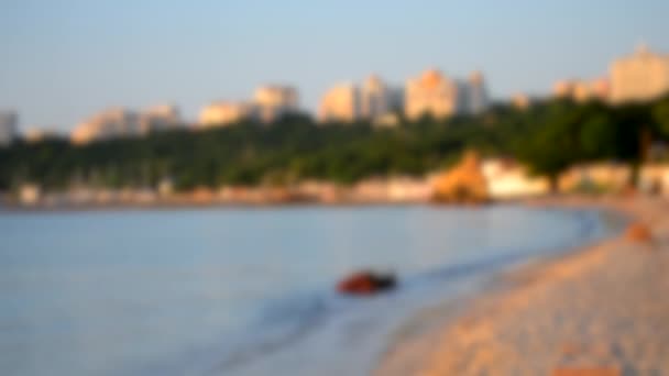 海岸は夏の早朝から 青い海 晴れた夏の朝に高い建物と緑の木を持つ海による砂浜 バックグラウンド — ストック動画