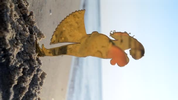 Güneşli Yaz Günlerinde Plajda Kumsalda Sarılan Aşık Genç Erkeklerin Plastik — Stok video