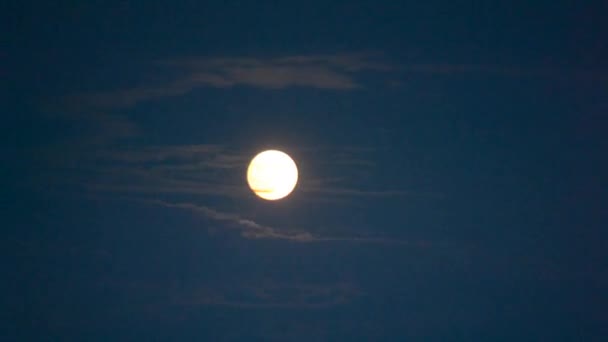 Восход Луны Луна Восходит Движение Белой Луны Голубому Небу Восход — стоковое видео