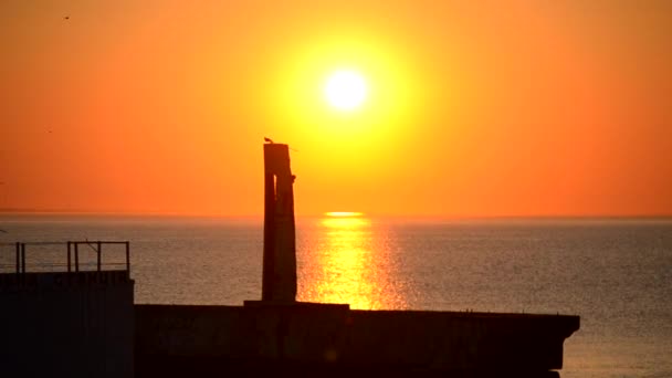 Gün Batımında Iskele Yakınlarında Denizde Gün Batımının Arka Planında Iskelede — Stok video
