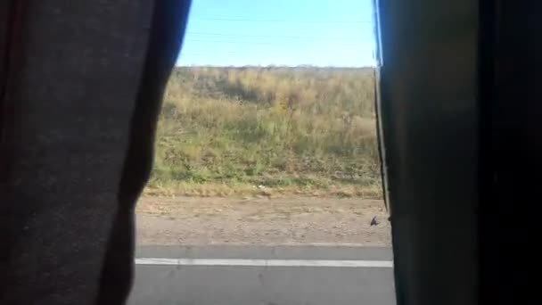 Pohled Okna Autobusu Pohled Pole Stromy Modrou Oblohu Cestu Skrz — Stock video
