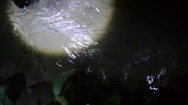 Подземная Река Протекающая Между Ног Темном Туннеле Дождевой Коллектор Канализационный — стоковое видео