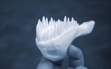 Sanat eseri 3D yazıcıya yazdırıldı. Hayvan dinozor dişli alt çene prototipi tutan adam. Erimiş plastiğin yakın çekiminden 3D yazıcıya basılmış. Modern yenilikçi baskı teknolojisi
