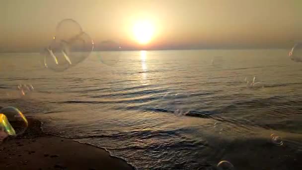 Létající Mýdlové Bubliny Pozadí Moře Při Západu Slunce Spousta Mýdlových — Stock video