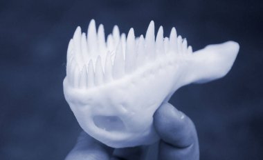 Sanat eseri 3D yazıcıya yazdırıldı. Hayvan dinozor dişli alt çene prototipi tutan adam. Erimiş plastiğin yakın çekiminden 3D yazıcıya basılmış. Modern yenilikçi baskı teknolojisi