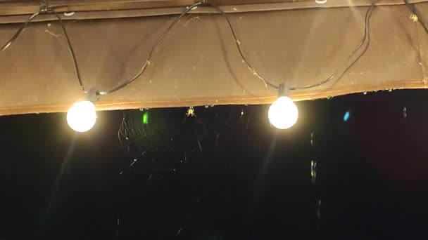 Corrientes Lluvia Goteando Desde Techo Con Linternas Brillantes Por Noche — Vídeos de Stock