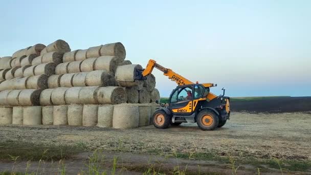 2023年8月25日 ウクライナのタセルナ トラクターは 夏の夕方に耕されたフィールドに折りたたみラウンドベールを積み上げます トラクター スタッキング ストロー ベール フィールドで アフリカ農業農業 — ストック動画