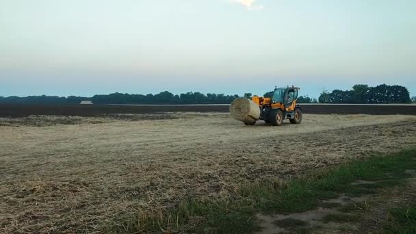 2023年8月25日 ウクライナのタセルナ トラクターは 夏の夕方に耕されたフィールドに折りたたみラウンドベールを積み上げます トラクター スタッキング ストロー ベール フィールドで アフリカ農業農業 — ストック動画