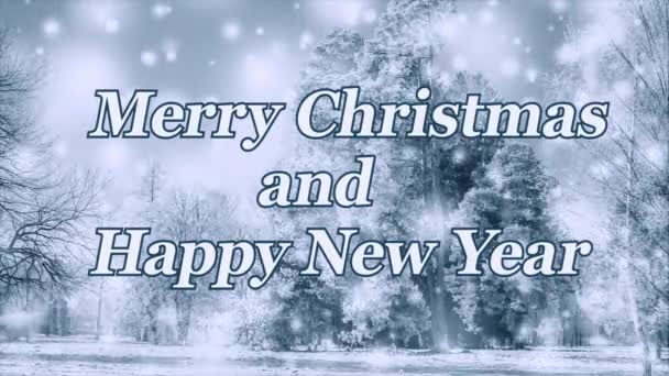 Καλά Χριστούγεννα Και Ευτυχισμένο Νέο Έτος Λόγια Γιορτή Σχεδιασμού Χειμώνας — Αρχείο Βίντεο