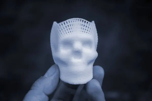 Человек Держащий Руках Небольшой Прототип Человеческого Черепа Отпечатанный Расплавленного Белого Стоковое Изображение