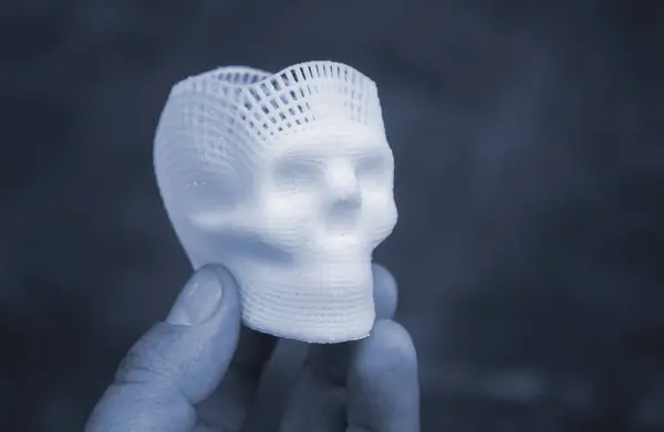 溶けた白いプラスチックから印刷された人間の頭蓋骨3Dの手の小さいプロトタイプの指を握る人 三次元モデル 追加の進歩的な医学技術 新しい印刷業界 ストック写真