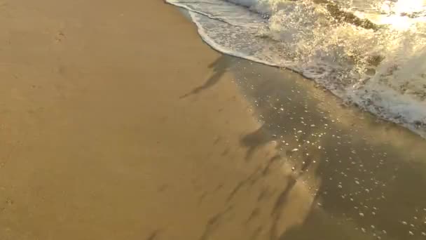 海の波が夜明けの晴れた朝に海岸の砂浜に転がっている 海の波は泡と海岸の砂に飛びついている 海岸シーサイド シーショア 自然の背景 自然の背景 — ストック動画