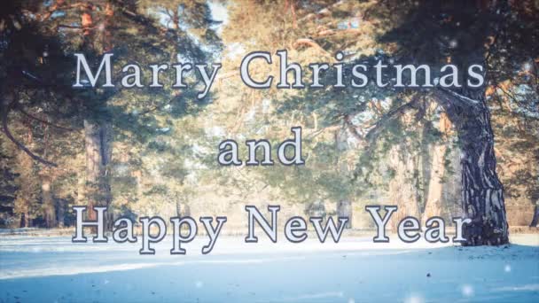 Boldog Karácsonyt Boldog Évet Szavak Design Nagy Fenyőfák Erdőben Télen — Stock videók