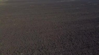 Güneşli bir günde kara toprağın üzerinde uçmak. Kazılmış bir toprak tarlası. Toprağın sürülmüş toprakları. Tarım endüstrisi tarımsal tarım arazisi. Tarım sektörü tarım işi. Hava aracı görünümü.