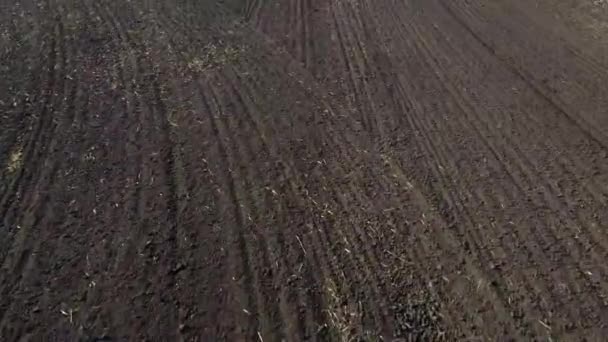 Penerbangan Atas Lapangan Dibajak Tanah Hitam Pada Hari Yang Cerah — Stok Video