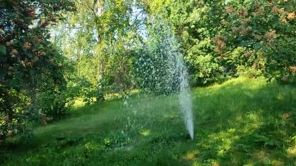 Irrigating Water Fountain Garden Park Sunny Spring Summer Day Watering — Stock Video
