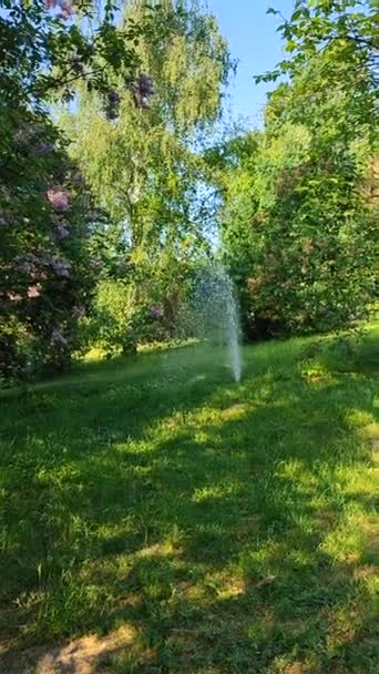 Fontaine Eau Irrigation Dans Parc Jardin Ensoleillée Journée Printemps Été — Video