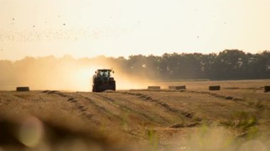 Güneşli bir yaz akşamında hasat makinası samanı balya sürüş sahasına sıkıştırıyor. Buğday balyalarıyla dolu bir tarla. Sahada çok toz var. Tarım endüstrisi tarımsal hasat çalışmaları