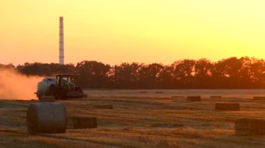 Yazın gün batımında tarladan samana saman iten hasatçıyı balya sürüş sahasına birleştirin. Buğday balyalarıyla dolu bir tarla. Sahada çok toz var. Tarım endüstrisi tarımsal hasat çalışmaları