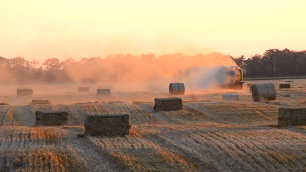 Combine Harvester Pressing Straw Field Bales Driving Field Summer Sunset — Stock Video