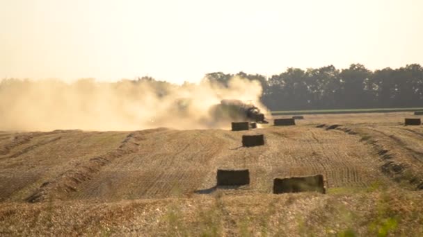 Combine Harvester Pressing Straw Field Bales Driving Field Sunny Summer — Stock Video