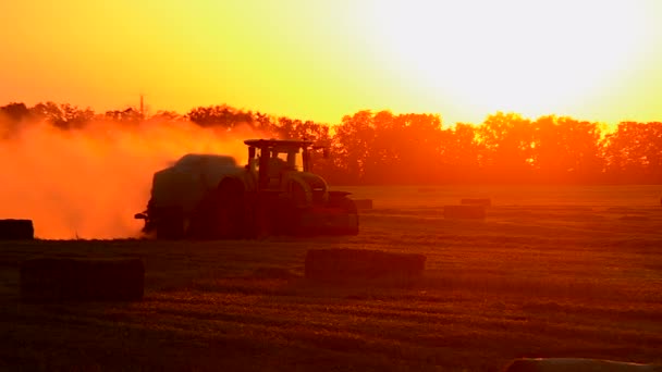 2023年8月19日 ウクライナのタセラ フィールドを横切って運転するコンバインハーベスターの美しい眺め 日没の日没に小麦を正方形のベールに植えます フィールドにダスト 農業について — ストック動画