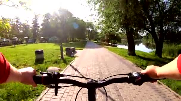 Persona Mujer Montar Bicicleta Largo Carretera Hecha Losas Pavimentación Entre — Vídeo de stock