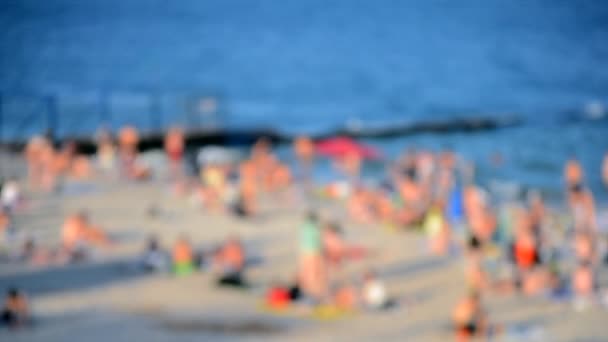 Багато Людей Відпочивають Піщаному Пляжі Узбережжя Купаються Морі Спекотний Сонячний — стокове відео