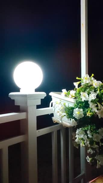 Laterne Leuchtet Dunkler Nacht Und Weiße Blühende Blumen Petunien Weißem — Stockvideo