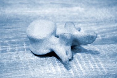 Polyamide tozundan basılmış insan omurunun prototip modeli. Teknoloji Multi Jet Füzyon MJF. Plastikten 3 boyutlu yazıcıya basılmış üç boyutlu model. Katkı sağlayan yenilikçi toz teknolojisi