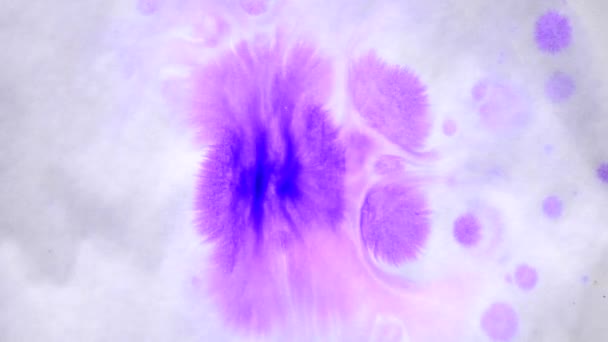 湿滑表面上美丽的紫色水滴 特写镜头 — 图库视频影像