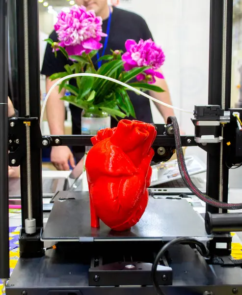 stock image 3D printer and model of human heart printed on 3D printer. Red prototype of human heart printed on 3D printer on a 3D printer desktop. New modern additive printing medical healthcare technologies