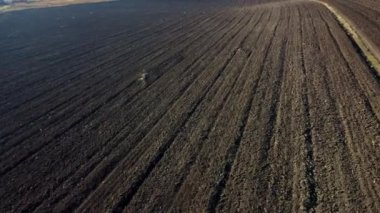 Kara toprak tarlalarının üzerinde uçuyorlar. Toprak tarlası sonbahar günü kazılmış. Tarlaya sürülmüş tarım arazileri, tarım arazileri. Toprak toprağı. Doğal tarım endüstrisi geçmişi