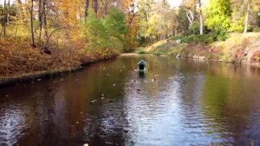 Bir sonbahar günü ağaçlı, ağaçlı, ağaçlı, ağaçlı, ahşap bir kulübeyle gölün üzerinde uçmak.