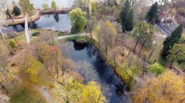 Toprak yollarla dolu güzel büyük bir parkın üzerinde uçmak ve sonbahar günü insanları gezdirmek. Sarı ve yeşil yaprakları, toprak yolları ve birkaç gölü olan birçok uzun ağacın manzarası. Doğa. Doğal arkaplan