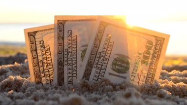 Üç dolarlık banknotlar yaz mevsiminde gün batımında deniz kenarında kumlu kumsalda gömülür. Dolar banknotları kısmen kuma gömülmüş.