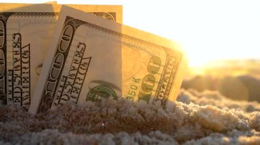 Üç dolarlık banknotlar yaz mevsiminde gün batımında deniz kenarında kumlu kumsalda gömülür. Para için. Dolarlar kumu kapladı. Para toprakta yetişir. Finans ve yatırım kavramı.