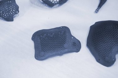 Bireysel olarak hastaya özel kraniyal plaka ızgarası. 3 boyutlu yazıcıda biyouyumlu titanyumdan yapılmış. Biyomühendislik implantı. Sağlık sigortası