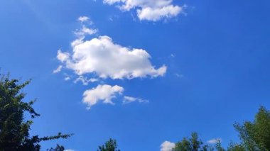 Mavi, temiz gökyüzünde beyaz bulut ve yeşil ağaçlar. Güneşli yaz gününde mavi gökyüzünde hızlı hareket eden bulut. Doğa. Doğal arkaplan