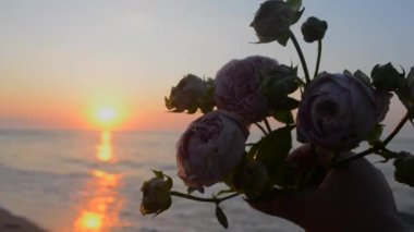 Elinde gül çiçekleri tutan kişi gün batımında deniz kıyısındaki kumsalın arka planında yakın plan çekimde. Güneşin doğuşunda, deniz kıyısında çiçek açan çiçekler. Romantik ruh hali.